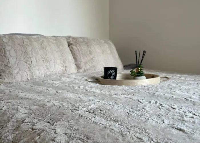 公寓 Pirotska Cozy 索菲亞